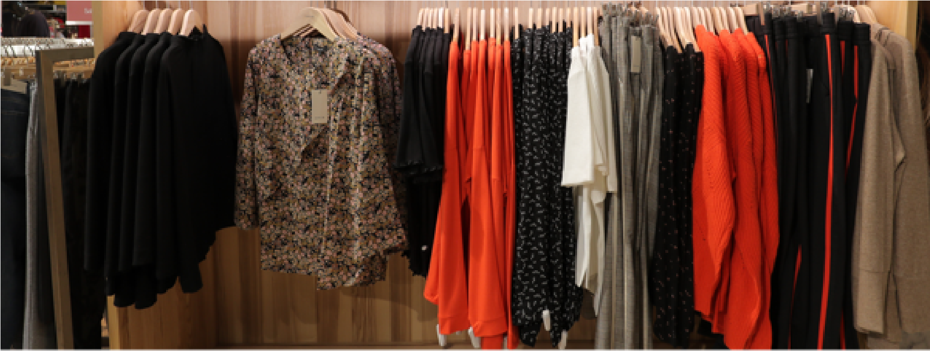 Apparel & Fashion